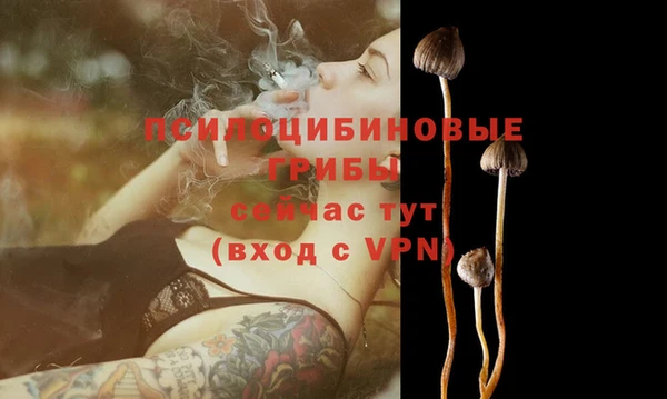 гидра Алексин